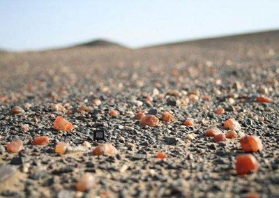 你们知道沙漠是什么颜色吗,你知道阿拉善戈壁玛瑙吗