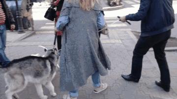 颜王像牛头梗,极限挑战颜王撞脸牛头梗哪一集