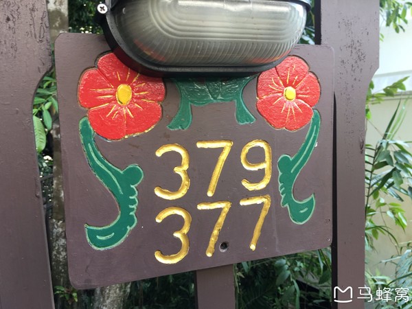 绿中海娱乐会所,绿中海旅游