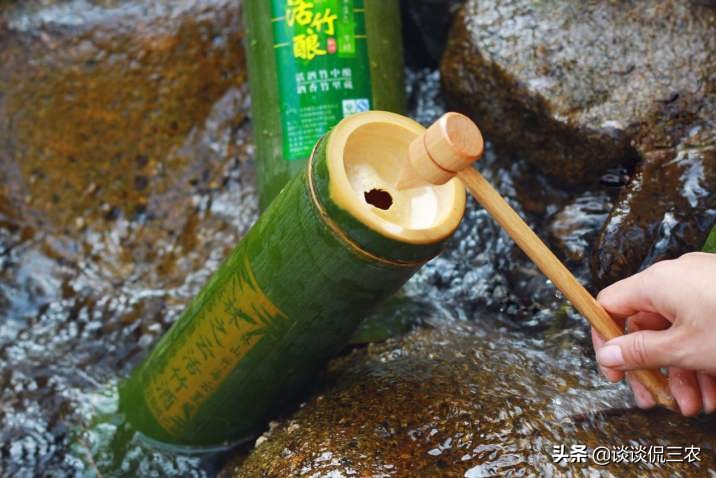揭秘网红竹筒酒,活竹酒网红