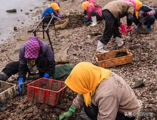 养殖小项目农村养殖什么比较靠谱,农村养殖什么最稳成本又低又赚钱