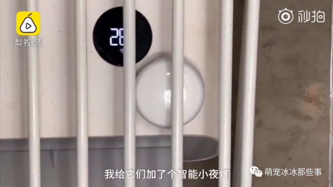 主人花30万打造的豪华狗窝,全网最土豪狗窝