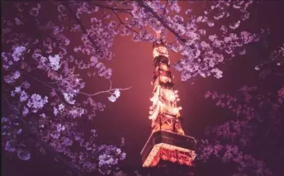 去日本旅游必须知道的八个方法,去日本玩不能做的事