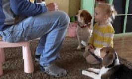 论坑娃我们是认真的,坑娃的十大恶心事