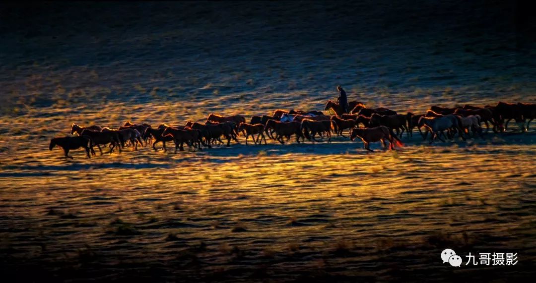 大美坝上草原全景,大美坝上风光系列之一