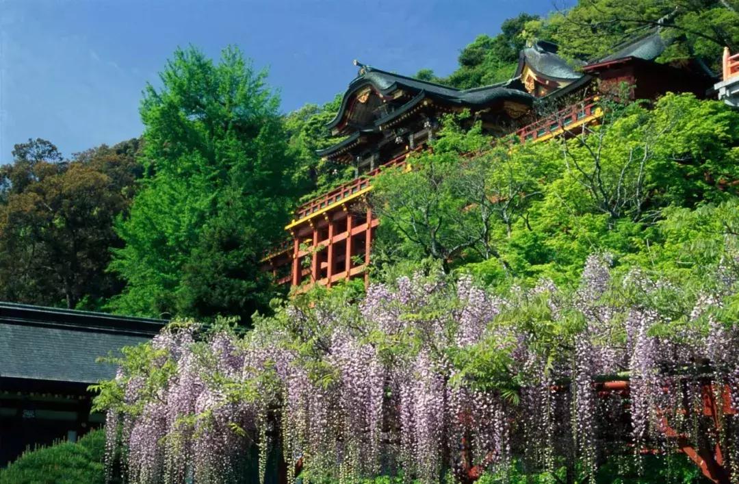 日本开始受理赴日个人旅游签证的在线申请啦！