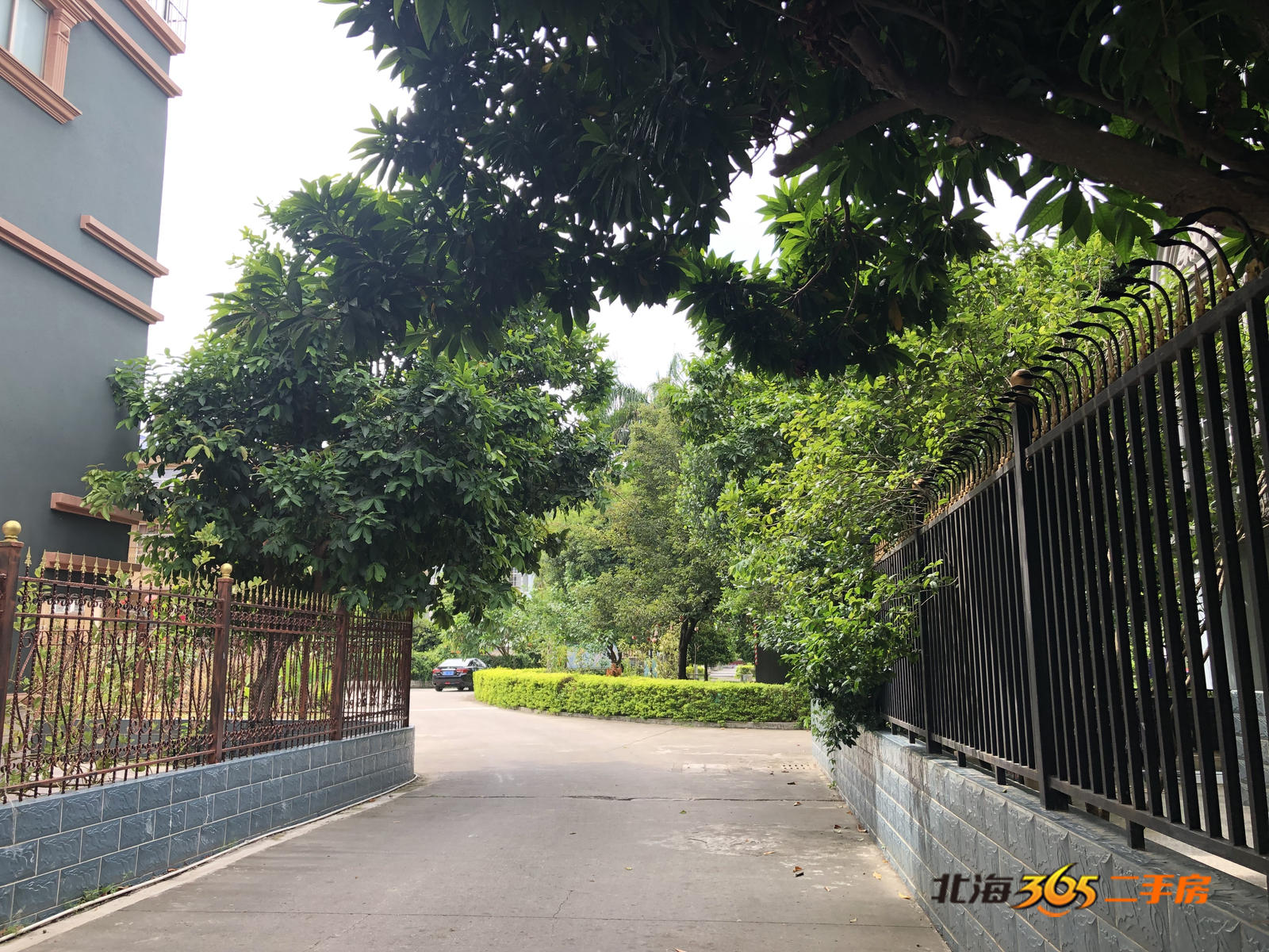 北海嘉逸花园有肺炎病例,北海市嘉逸花园最新消息