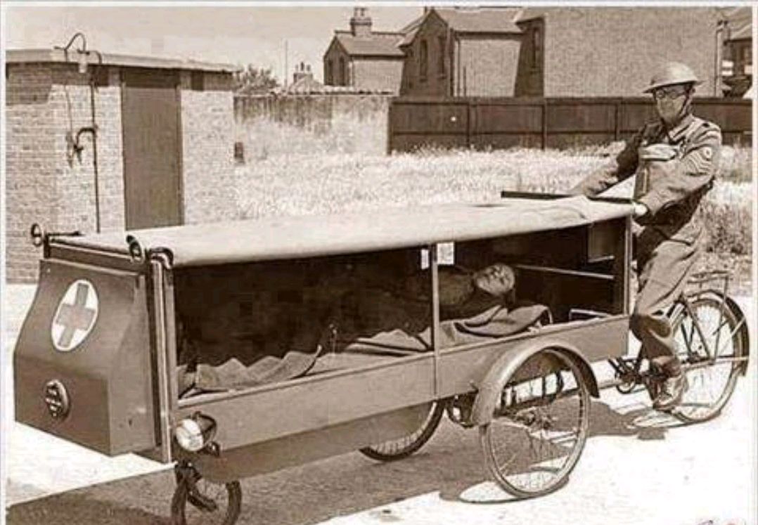 用显微镜看一下蚂蚁有多可怕,显微镜下蚂蚁的真实面目图片