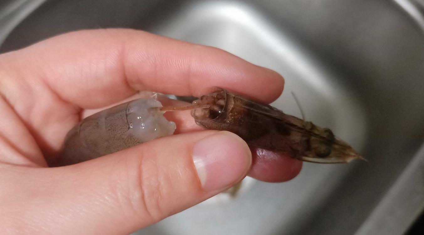 油炸虾酥脆的方法有面包糠,油炸虾是不是要裹面包糠