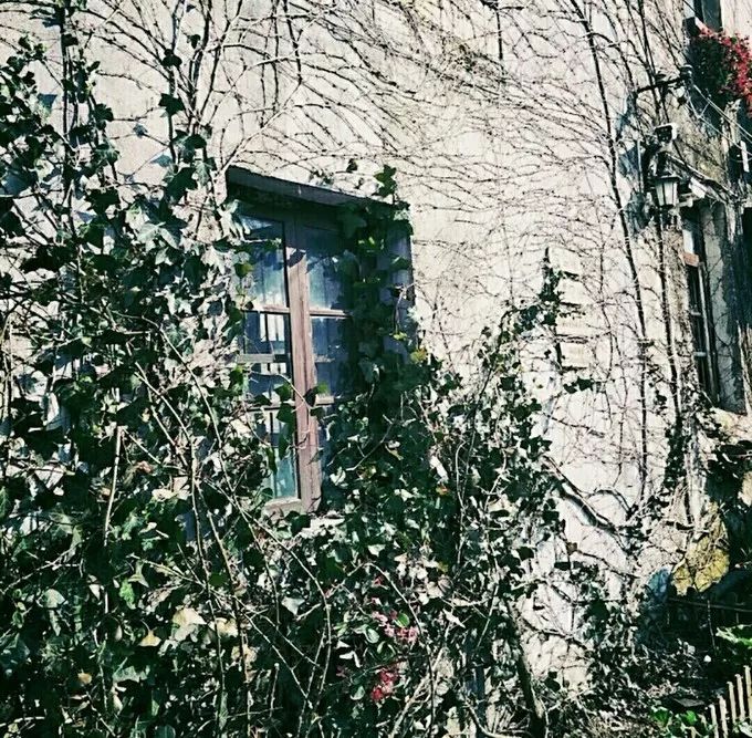 人生建议一定要来一次乌镇,一生一定要去一次的乌镇