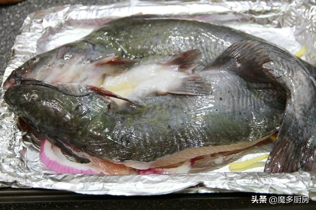 天热就想吃龙虾烤鱼,天热想吃鱼