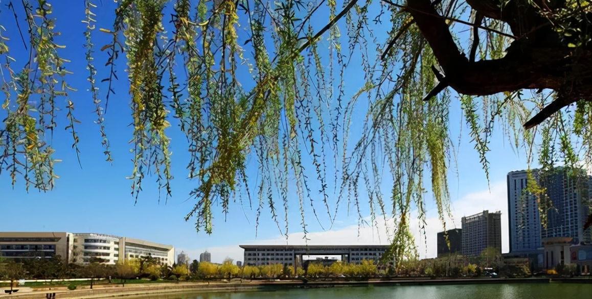 山东大学威海校区与青岛校区区别,青岛大学威海校区