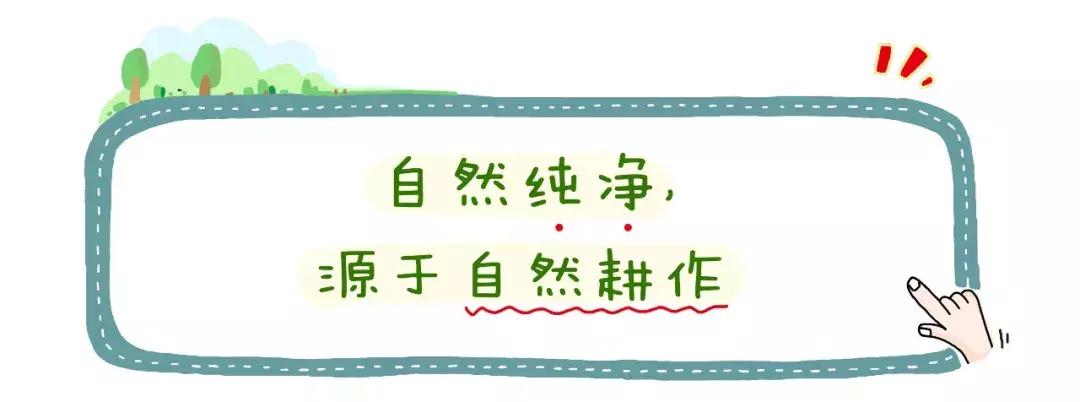 做对这一件事,小白妈妈也能选出优质口粮