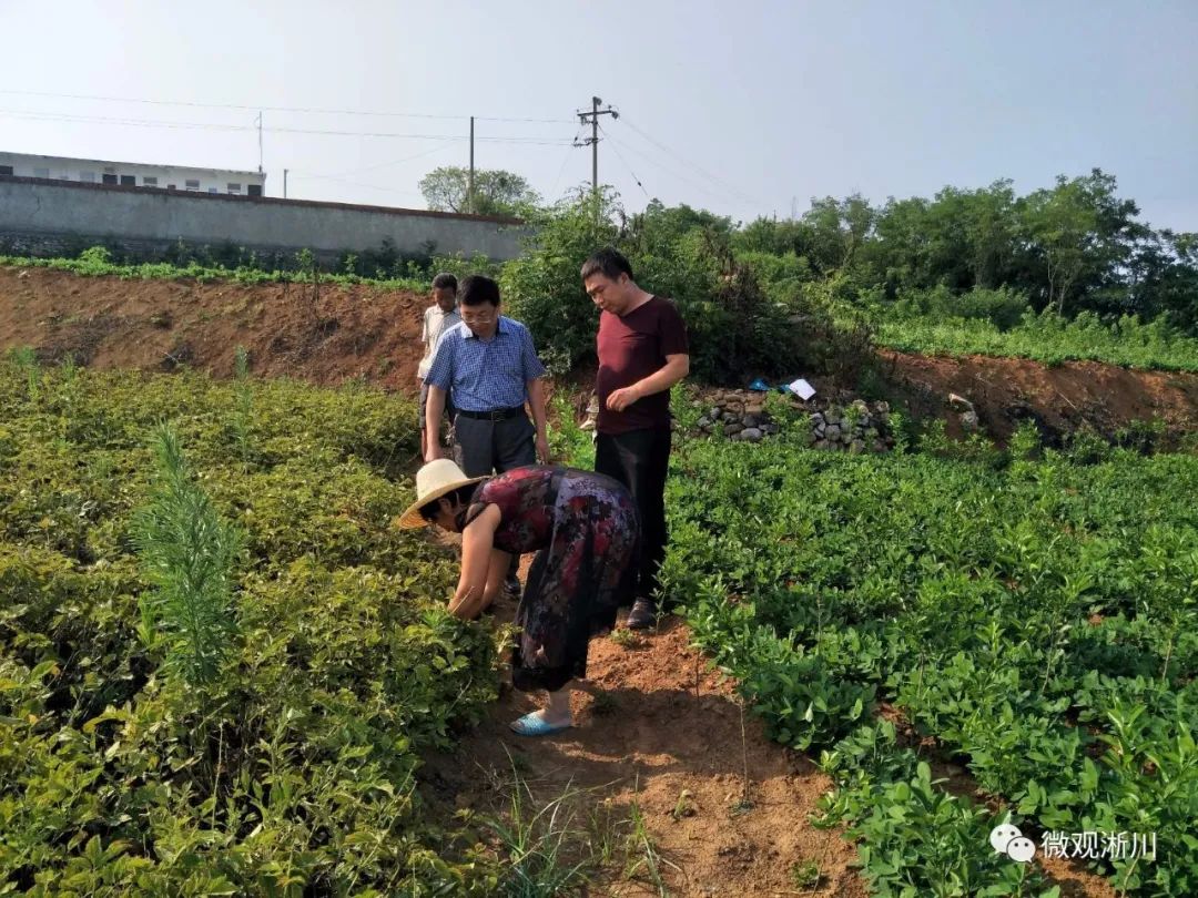 南阳最美医生、淅川县医德标兵裴建锋：坚守医德仁心诠释奉献担当
