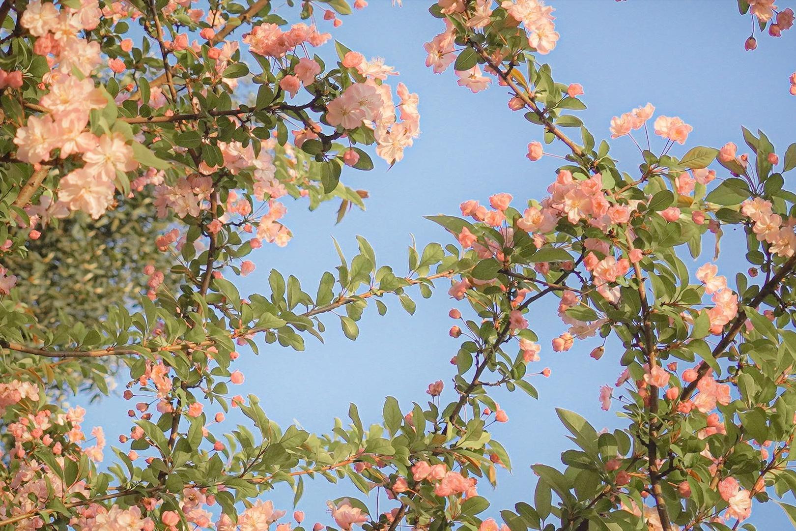 教你该如何搞掂12星座的坏脾气,十二星座里面脾气暴躁的四大星座