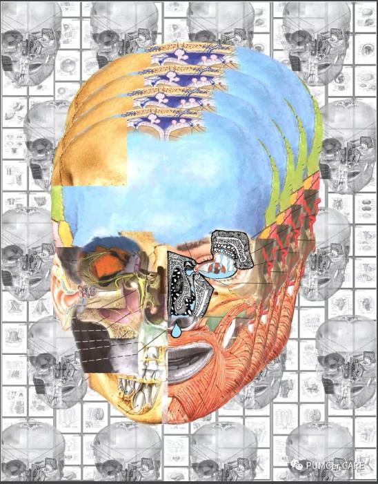 医学解剖创意绘画及作品简介,解剖手骨绘图大赛手绘图