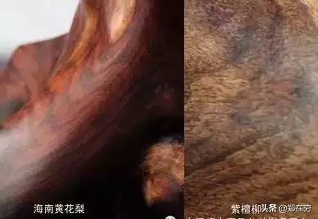 六种常用木材,常见的十种木材