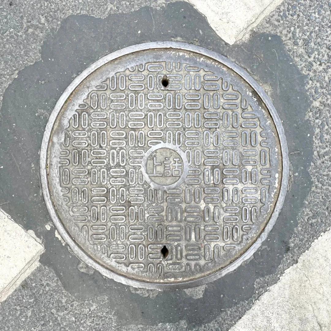 不要错过上海的春天,不要错过上海的夏天