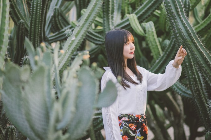 厦门吃喝玩乐一日攻略,厦门吃喝玩乐超全攻略