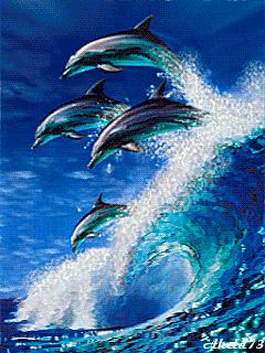 神秘的水中花,趣味神奇的水中花