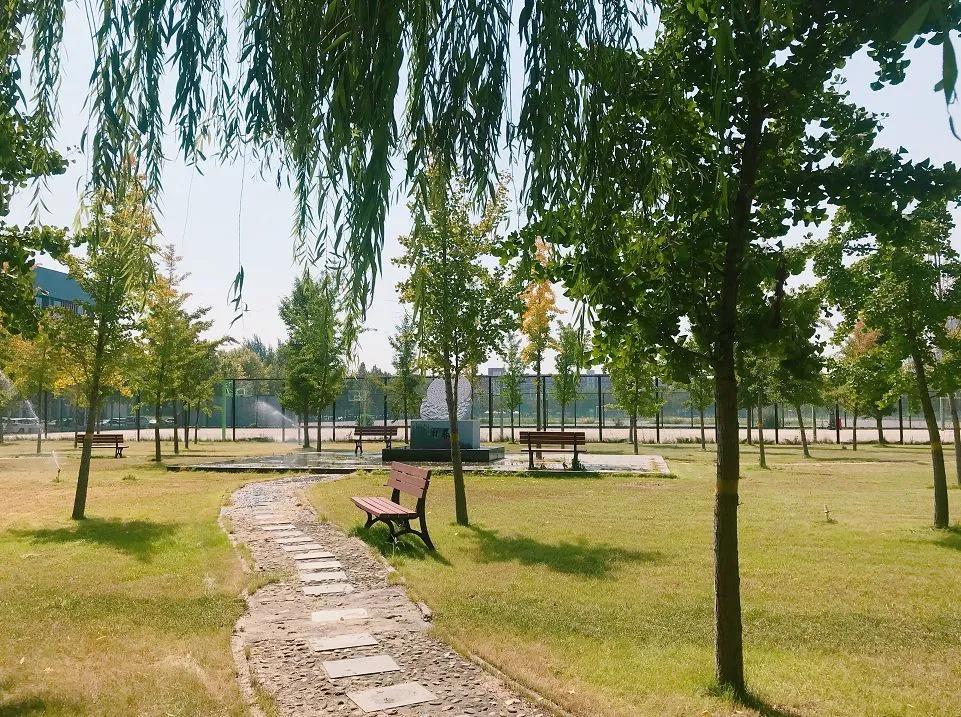 石家庄学院是什么档次的学校,石家庄学院