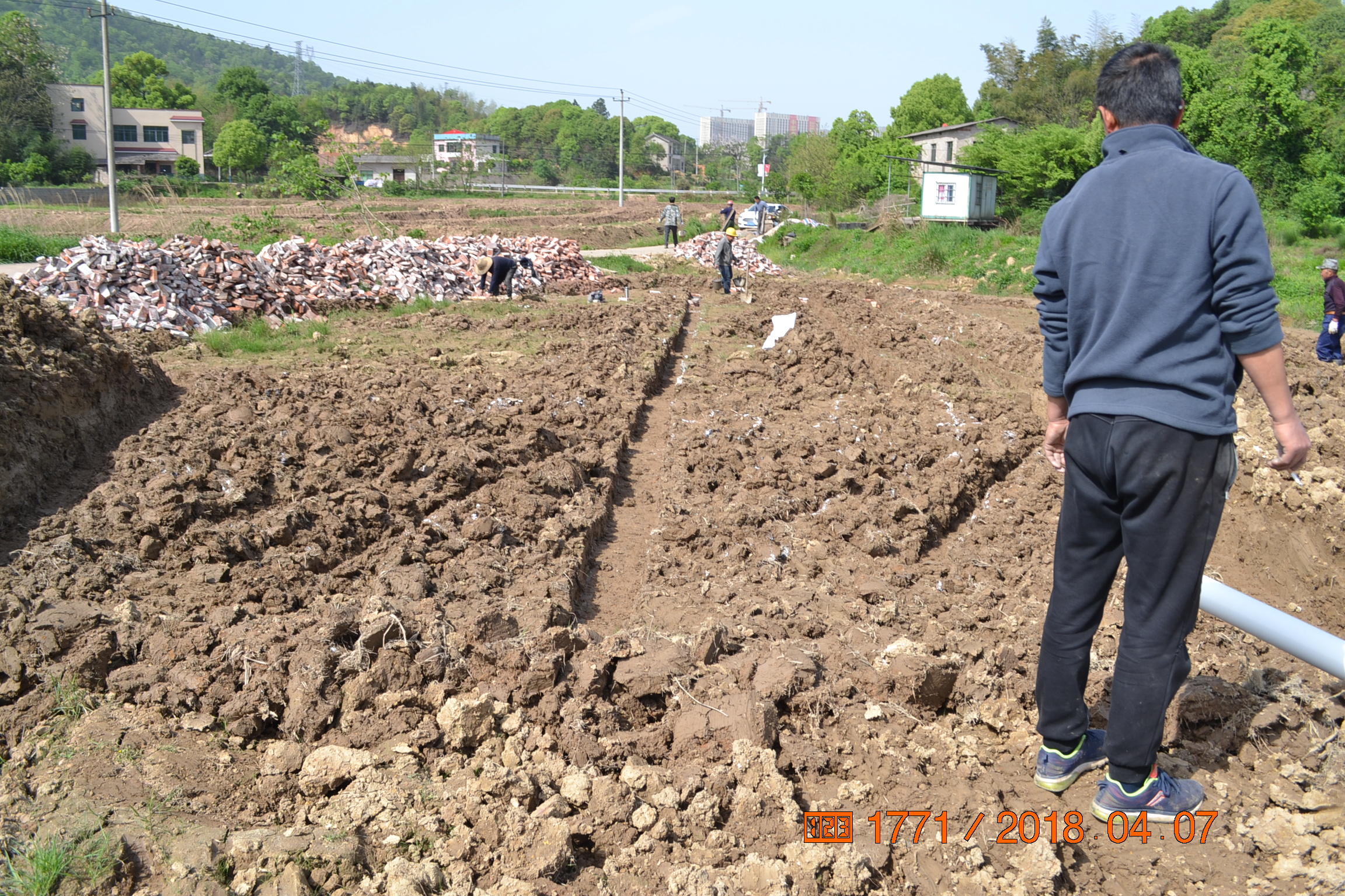 湖南最好的锦鲤养殖基地,湘潭锦鲤养殖