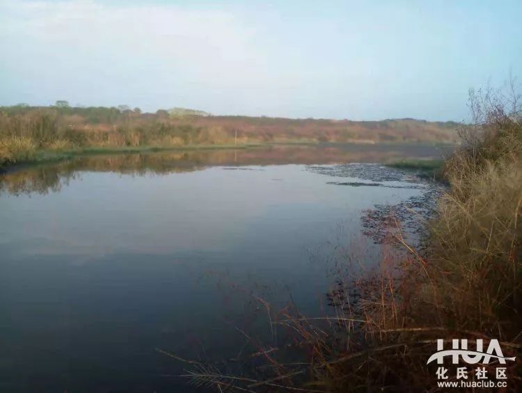 化氏不空军糊味,化氏不空军谁代工的