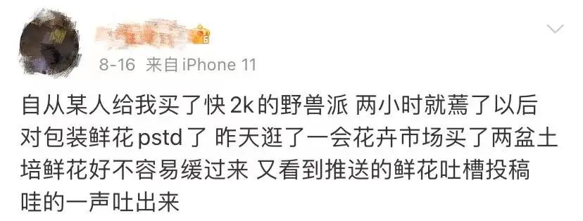 野兽派一支玫瑰多少钱,野兽派2万多的花