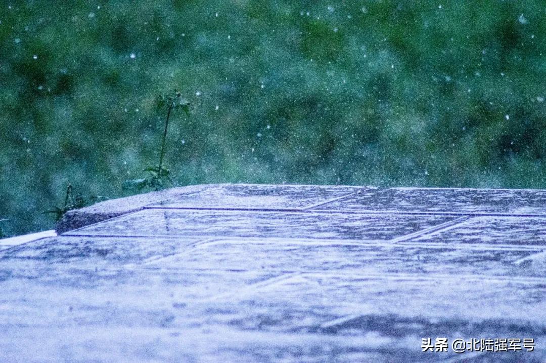 无花无酒过清明全文,无花无酒过清明