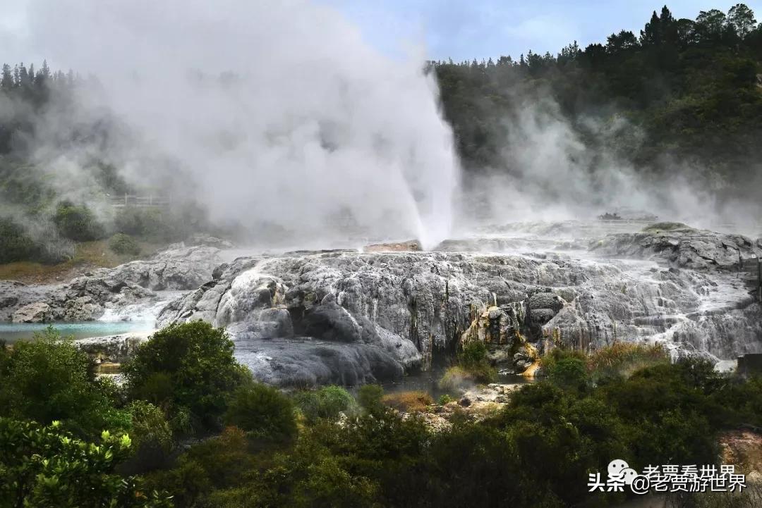 新西兰的五个漂亮的地方,新西兰最好的五大城市