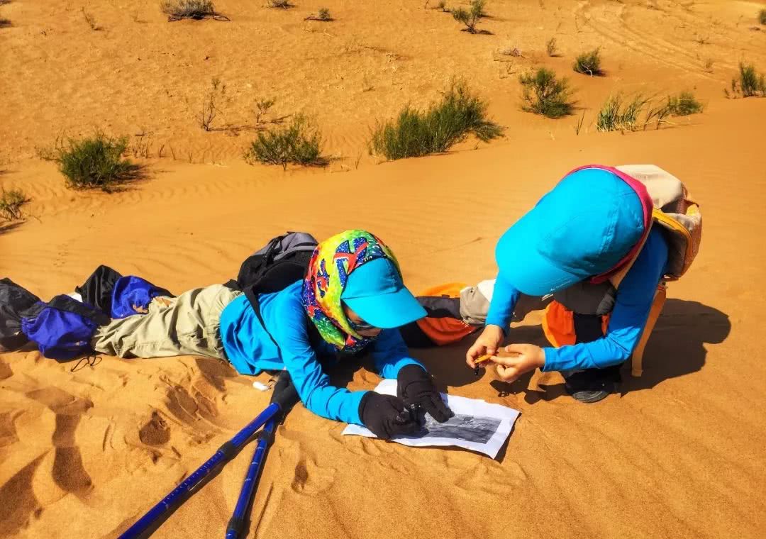 带娃来一场沙漠之旅,亲子沙漠旅游哪里好
