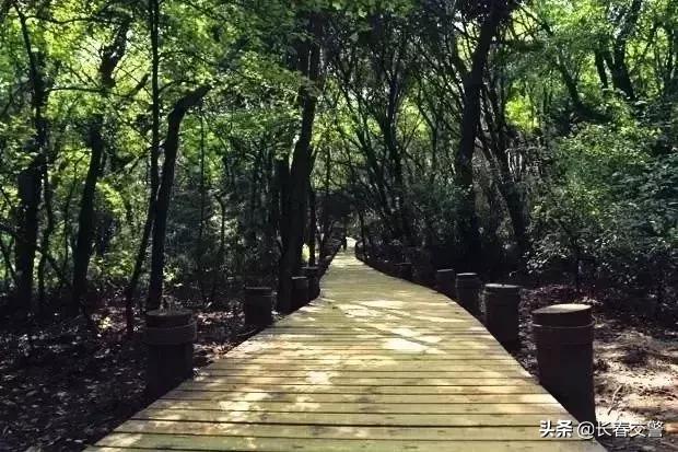 长春发布重要通知情况,长春面向社会公开招聘