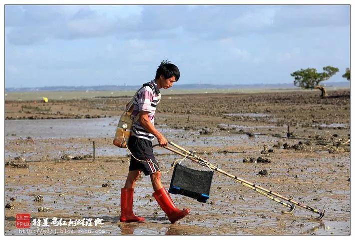 去湛江住特呈岛好还是住金沙湾好,今天湛江特呈岛风景区值得去吗