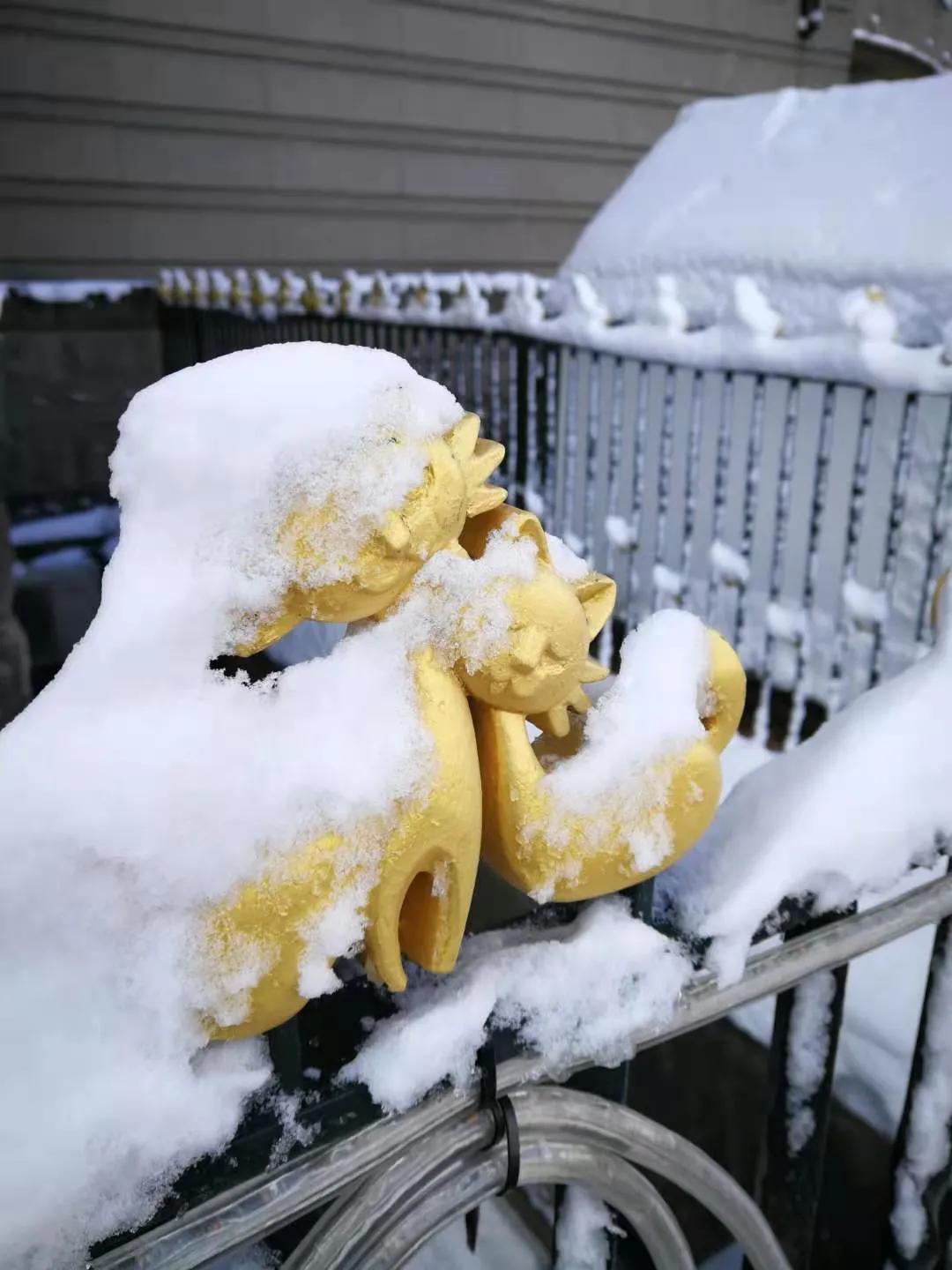 白色恋人日本排队,白色恋人在中国开什么店