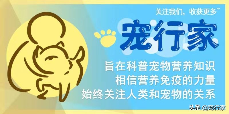 狗狗爪子受伤了流血了怎么办,狗狗爪子皮肉伤了用什么药