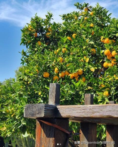 超好用的宝藏单品,拥有这几件单品足够了