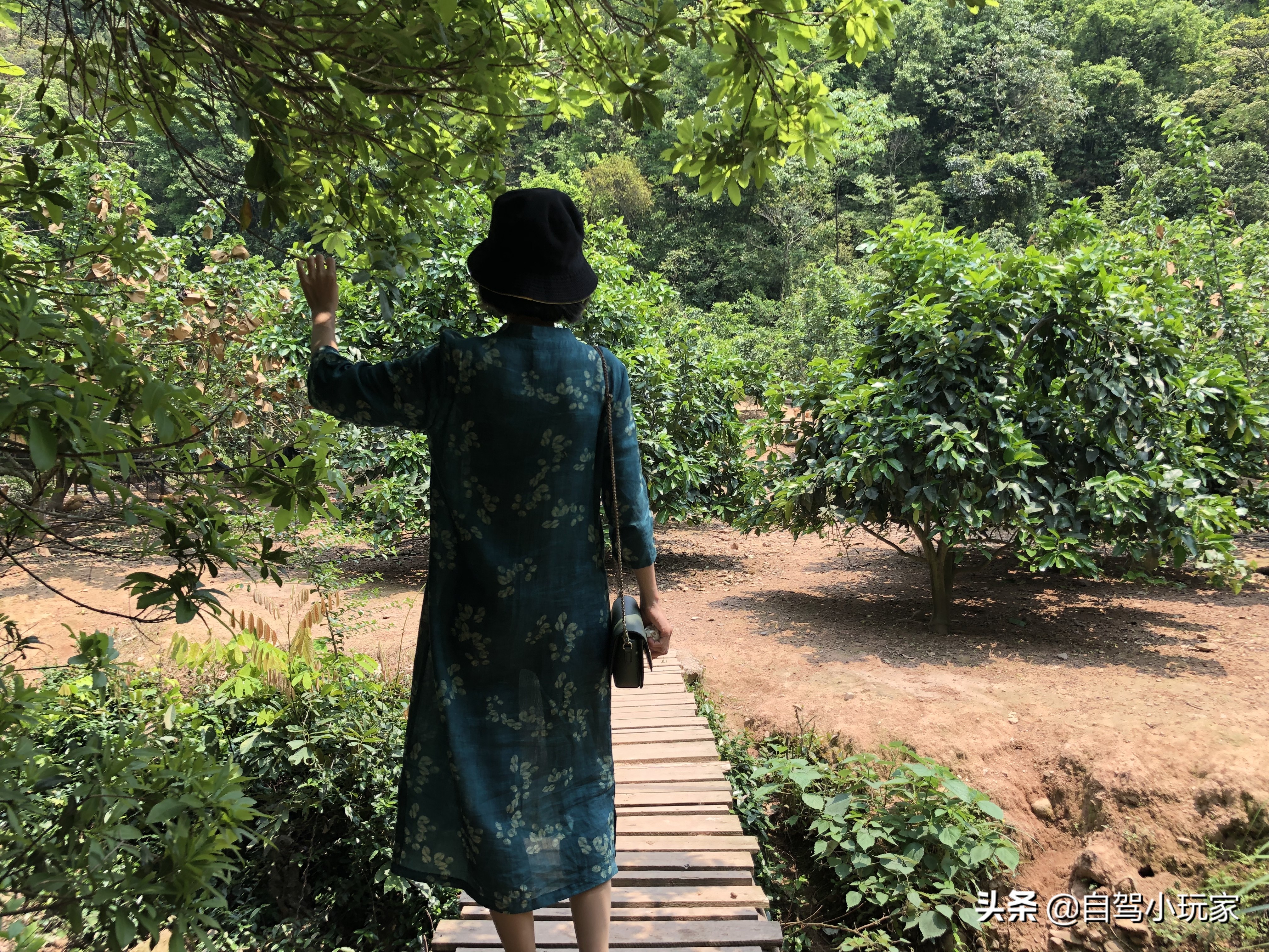 万绿湖八大秘境,广东万绿湖在全国有多出名