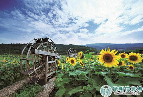 安宁市入选2020年全国百强县榜单,安宁跨入全国县域经济百强县