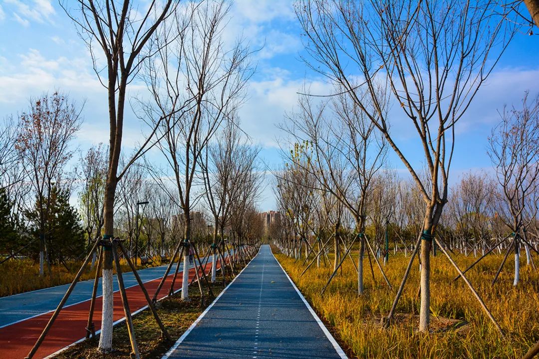 春意盎然北京五大公园,北京区级综合性公园