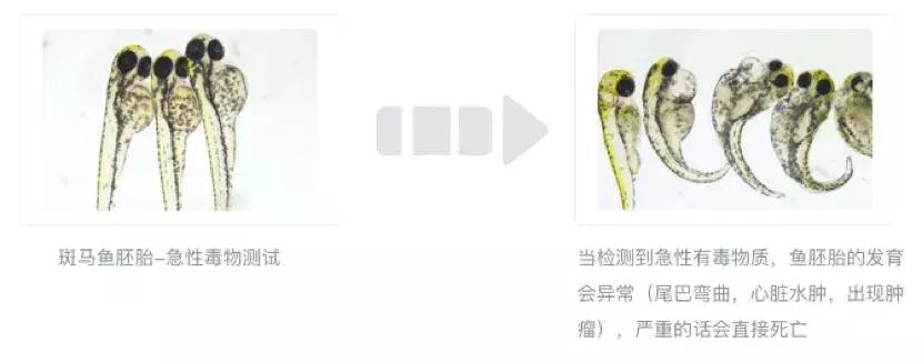 你们的*福性**危险了！24款安全套有2款急性毒超标或有损生殖能力