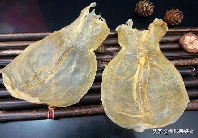 花胶的挑选九招识别真假花胶,真花胶和假花胶吃起来有什么区别