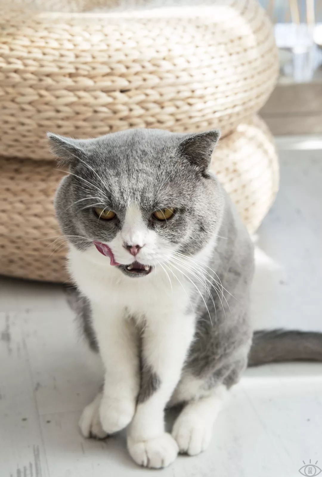 南山科技园有什么玩的,深圳南山科技园游玩