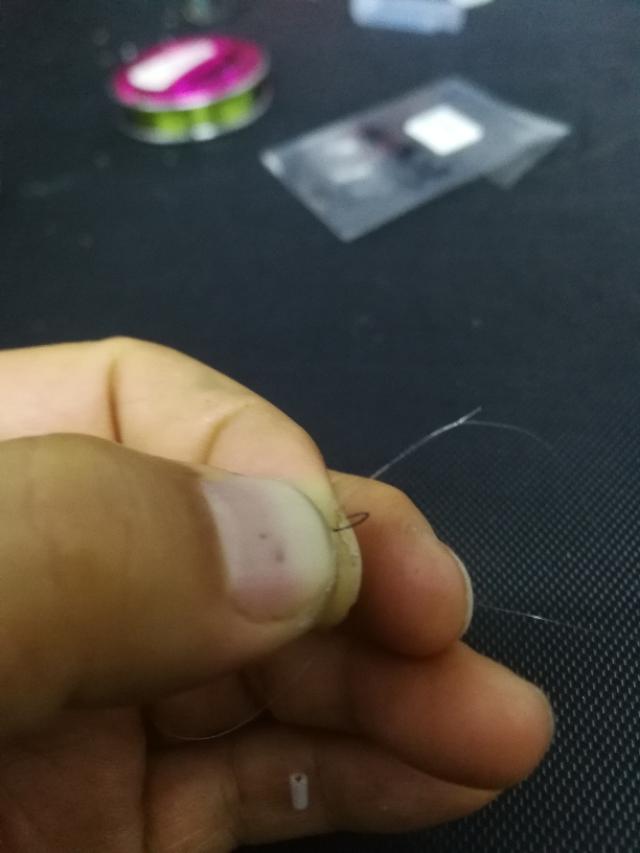 打开新世界之门,世界钓鱼之旅钓大鱼