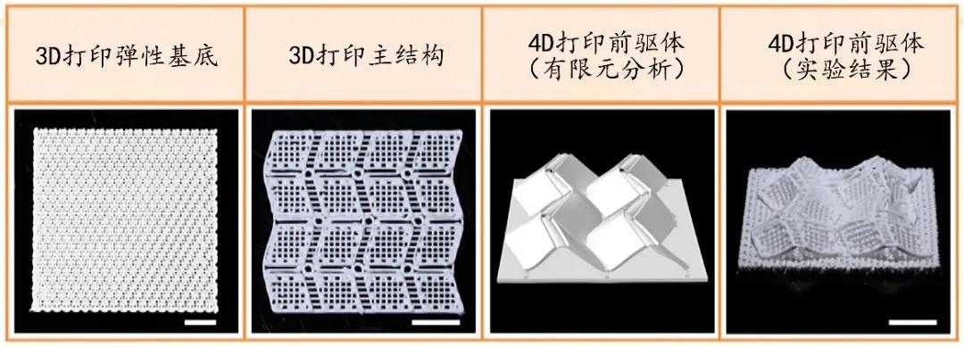 4d打印技术教学,什么是4D打印技术