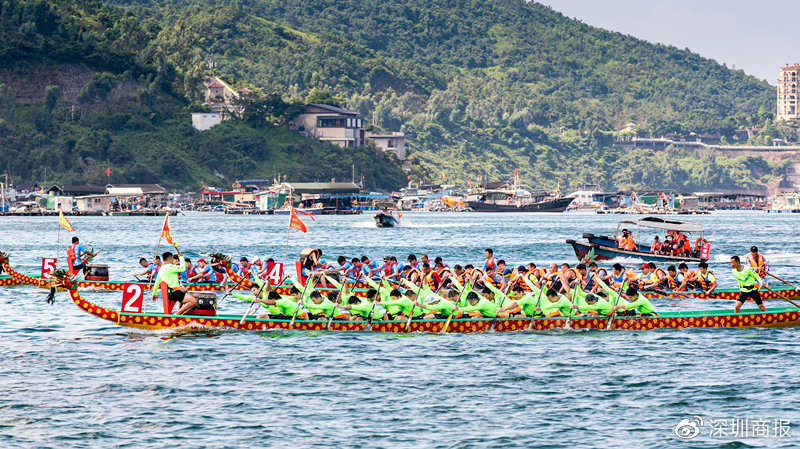 南澳龙舟赛 (深圳南澳月亮湾龙舟赛怎么去)