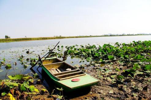 十一沿途风景,十一去红叶谷的景致