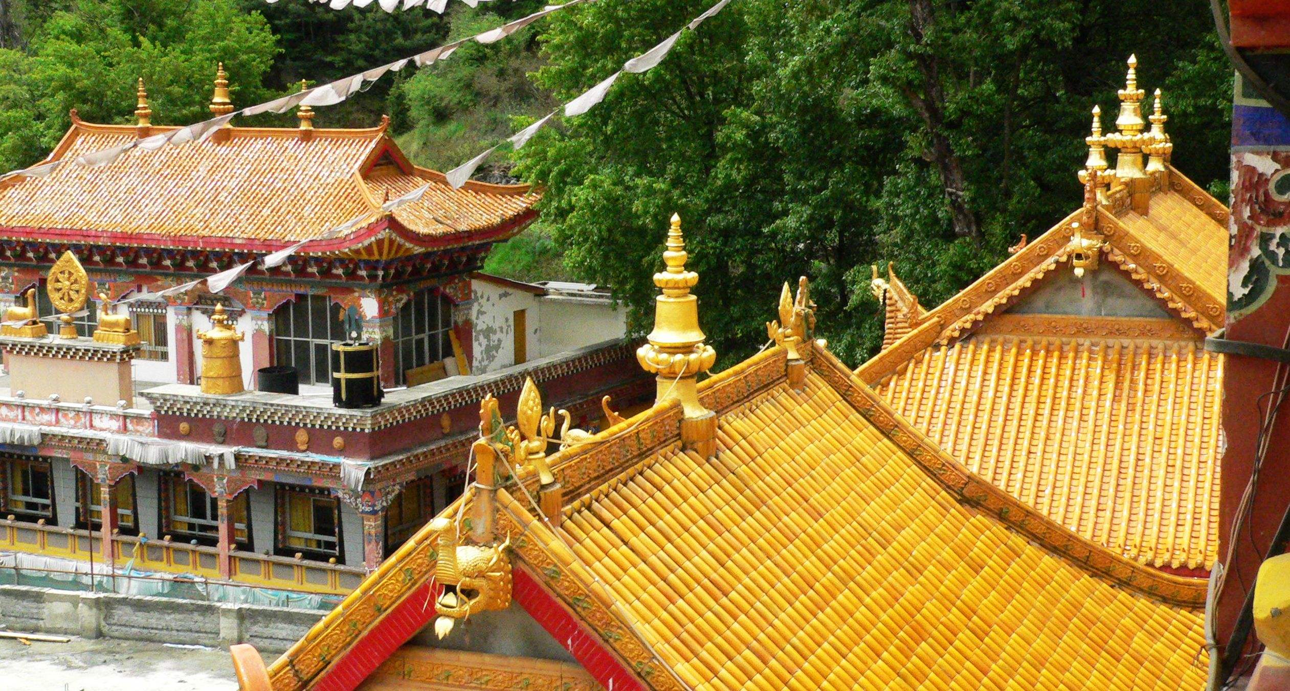 为什么寺庙里很多年轻人做和尚,年轻人不努力去寺庙