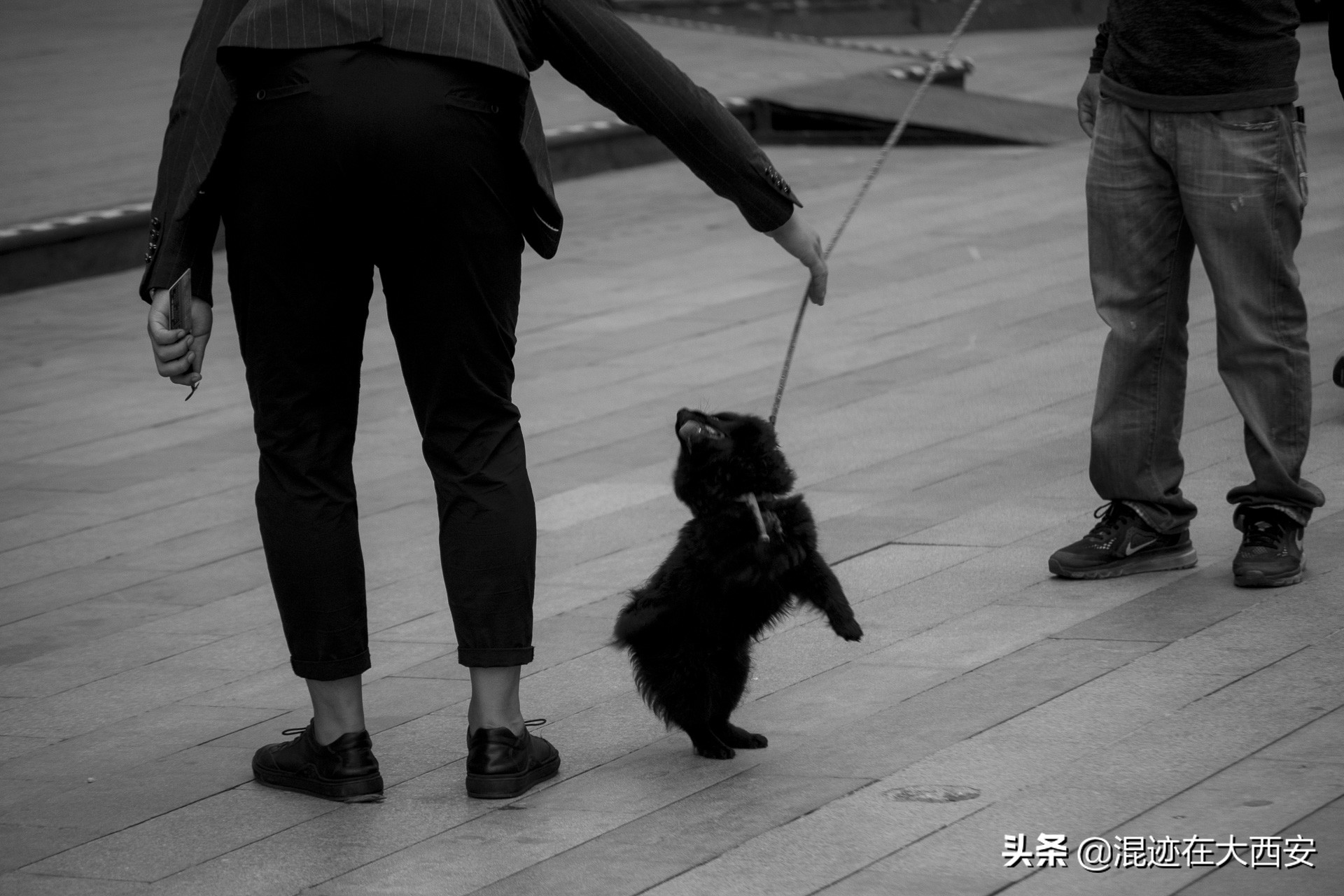 西安中贸广场夜景图,西安中贸广场攻略