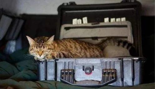 MAMAMIA伴你出行-出行实用篇