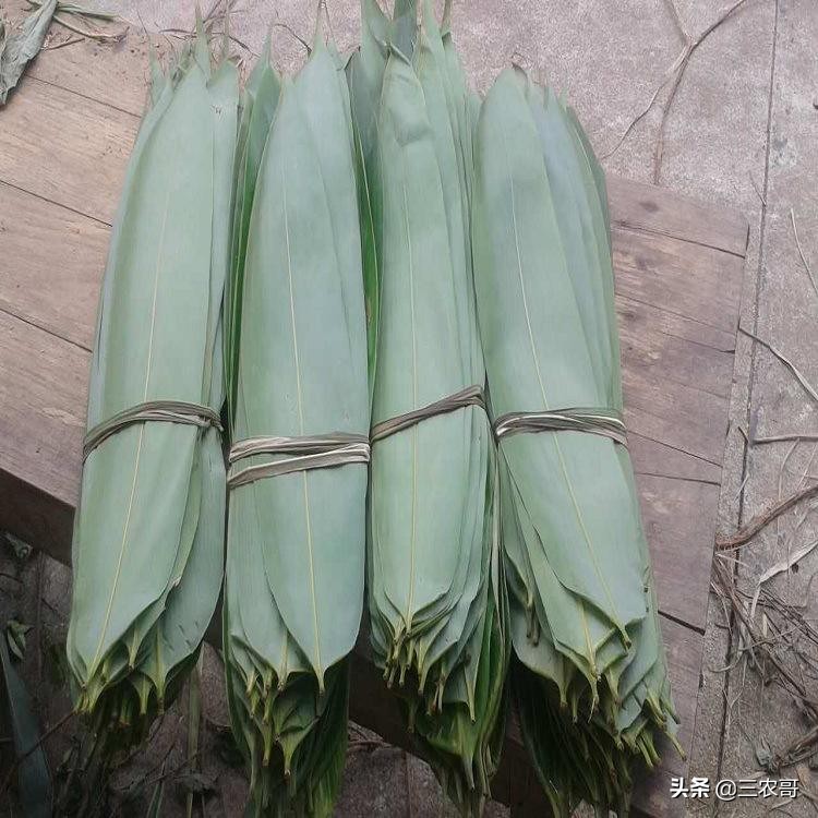 土地撂荒退耕还林,土地退耕是要等2027年吗